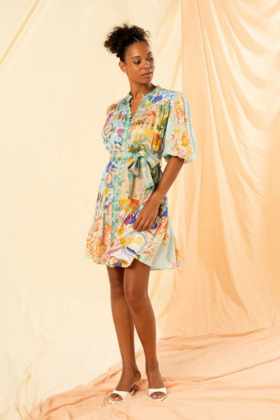 Nella Mini Shirt Dress | Multicolour